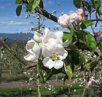 Mouat's Farm - Whitsundays Accommodation