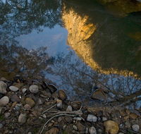 Abercrombie Karst Conservation Reserve - Whitsundays Accommodation