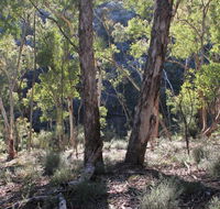 Mount Gray walking track - Whitsundays Accommodation