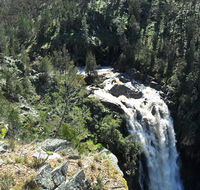 Grove Creek Falls walking track - Whitsundays Accommodation
