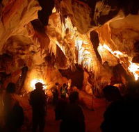 Careys Cave - Whitsundays Accommodation