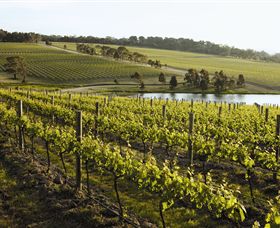 Yabby Lake Vineyard & Cellar Door - Whitsundays Accommodation 7