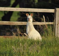Panorama Garden Estate - Whitsundays Accommodation