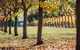 Crittenden Estate - thumb 4