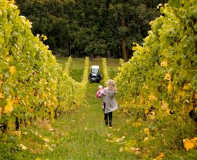 Polperro Winery - Whitsundays Accommodation 7