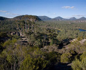 Dunns Swamp - Whitsundays Accommodation 0