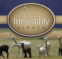 Marchmont Park Alpacas - Whitsundays Accommodation