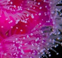 Yaringa Marine National Park - Whitsundays Accommodation