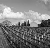 Willow Creek Vineyard - Whitsundays Accommodation