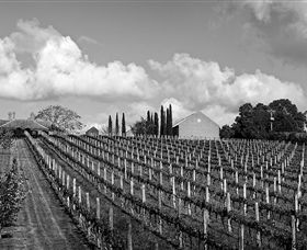 Willow Creek Vineyard - Whitsundays Accommodation 0