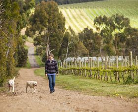 Willow Creek Vineyard - Whitsundays Accommodation 1