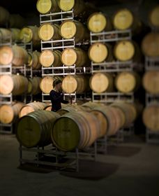 Willow Creek Vineyard - Whitsundays Accommodation 2