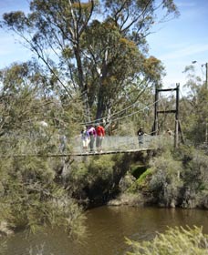 Avon Park - Whitsundays Accommodation 0