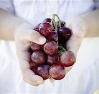 Granitevale  Estate Winery - Whitsundays Accommodation