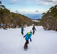 Mt Baw Baw Alpine Resort - Whitsundays Accommodation
