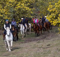 Burnelee Excursions on Horseback - Whitsundays Accommodation