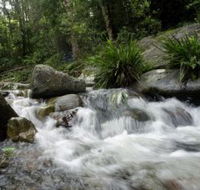 Washpool National Park - Whitsundays Accommodation