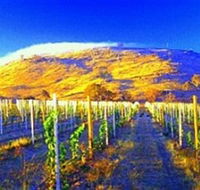 Surveyors Hill Winery - Whitsundays Accommodation