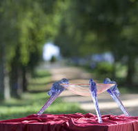 Lillico Glass Studio - Whitsundays Accommodation