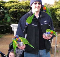 Canberra Walk In Aviary - Whitsundays Accommodation