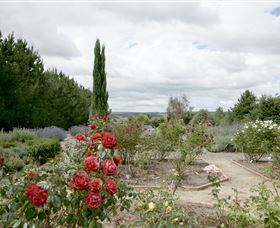 Capital Country NSW Whitsundays Accommodation