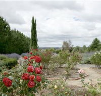 Crystal Brook Lavender Farm - Whitsundays Accommodation