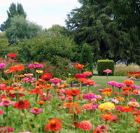 Alma Park - Whitsundays Accommodation
