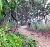Mount Mutton Walking Trail - Whitsundays Accommodation