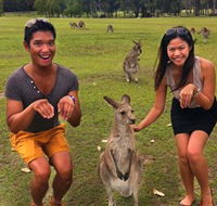 Runaway Tours - Whitsundays Accommodation