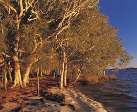 East Coast Adventure Bus - Whitsundays Accommodation 2