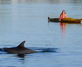 East Coast Adventure Bus - Whitsundays Accommodation 1