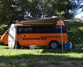 East Coast Adventure Bus - Whitsundays Accommodation 0