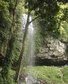 East Coast Adventure Bus - Whitsundays Accommodation 5