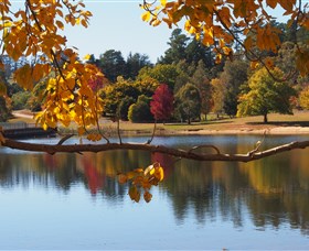 Ross Garden Tours - Whitsundays Accommodation 0