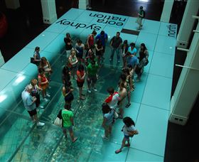 I'm Free Tours - Whitsundays Accommodation 1