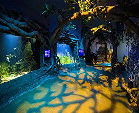 SEA LIFE Sydney Aquarium - Whitsundays Accommodation 2