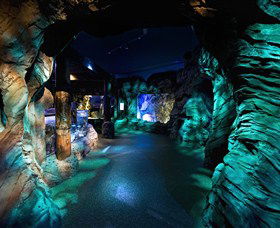 SEA LIFE Sydney Aquarium - Whitsundays Accommodation 3