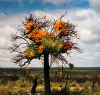 The Delmar Gallery - Whitsundays Accommodation