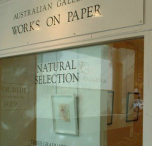 Australian Galleries - Roylston Street - Whitsundays Accommodation 1