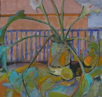 Gallery41 - Whitsundays Accommodation