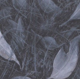 Gallery 110 Crystal - Whitsundays Accommodation 1