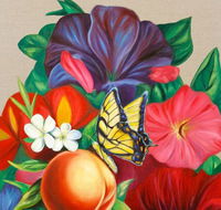 Iain Dawson Gallery - Whitsundays Accommodation