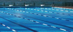 Andrew Boy Charlton Pool - Whitsundays Accommodation 1