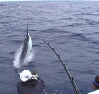 Amokura Charters