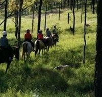 Hunter Valley Horse Riding and Adventures - Whitsundays Accommodation