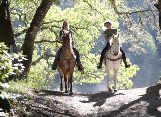 Hunter Valley Horse Riding And Adventures - Whitsundays Accommodation 1