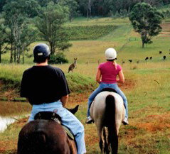Hunter Valley Horse Riding And Adventures - Whitsundays Accommodation 3