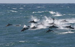  Whitsundays Accommodation