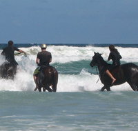 Pegasus Park Equestrian Centre - Whitsundays Accommodation