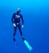 Byron Bay Dive Centre - Whitsundays Accommodation 1